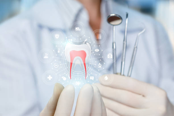 Professional  Holistic Dental Services in Brookdale, SC